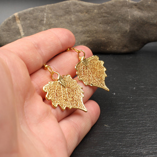 Pappelblatt Ohrringe vergoldet