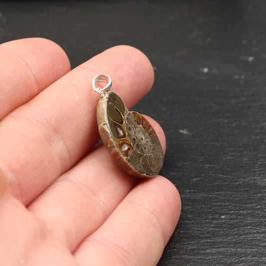 Ammonit Fossil Anhänger - Handarbeit