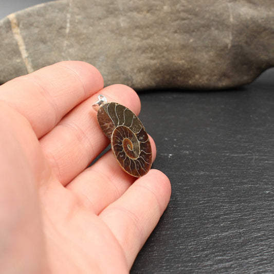 Ammonit Fossil Anhänger - Handarbeit