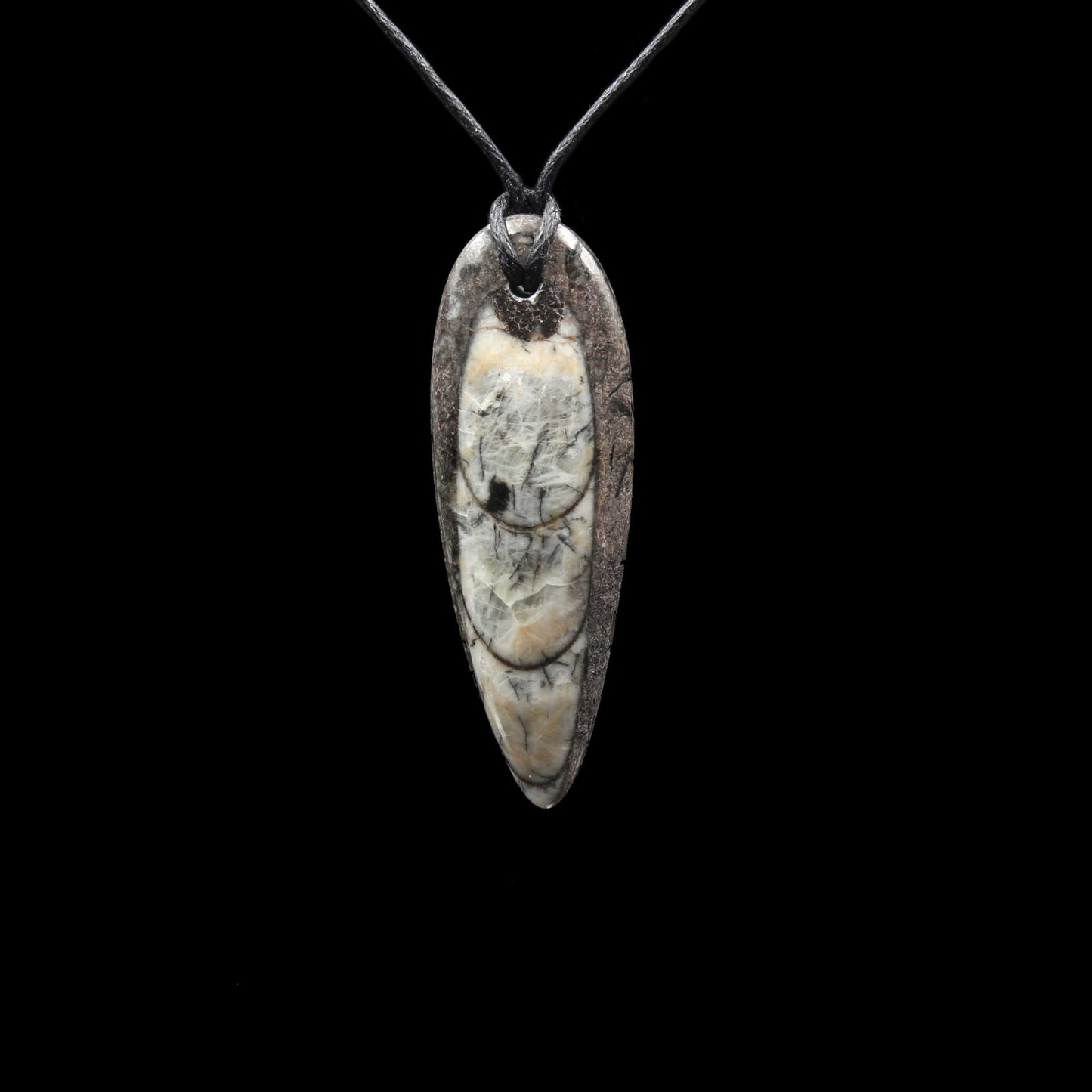 Orthoceras Fossil Anhänger - Handarbeit