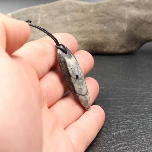 Orthoceras Fossil Anhänger - Handarbeit