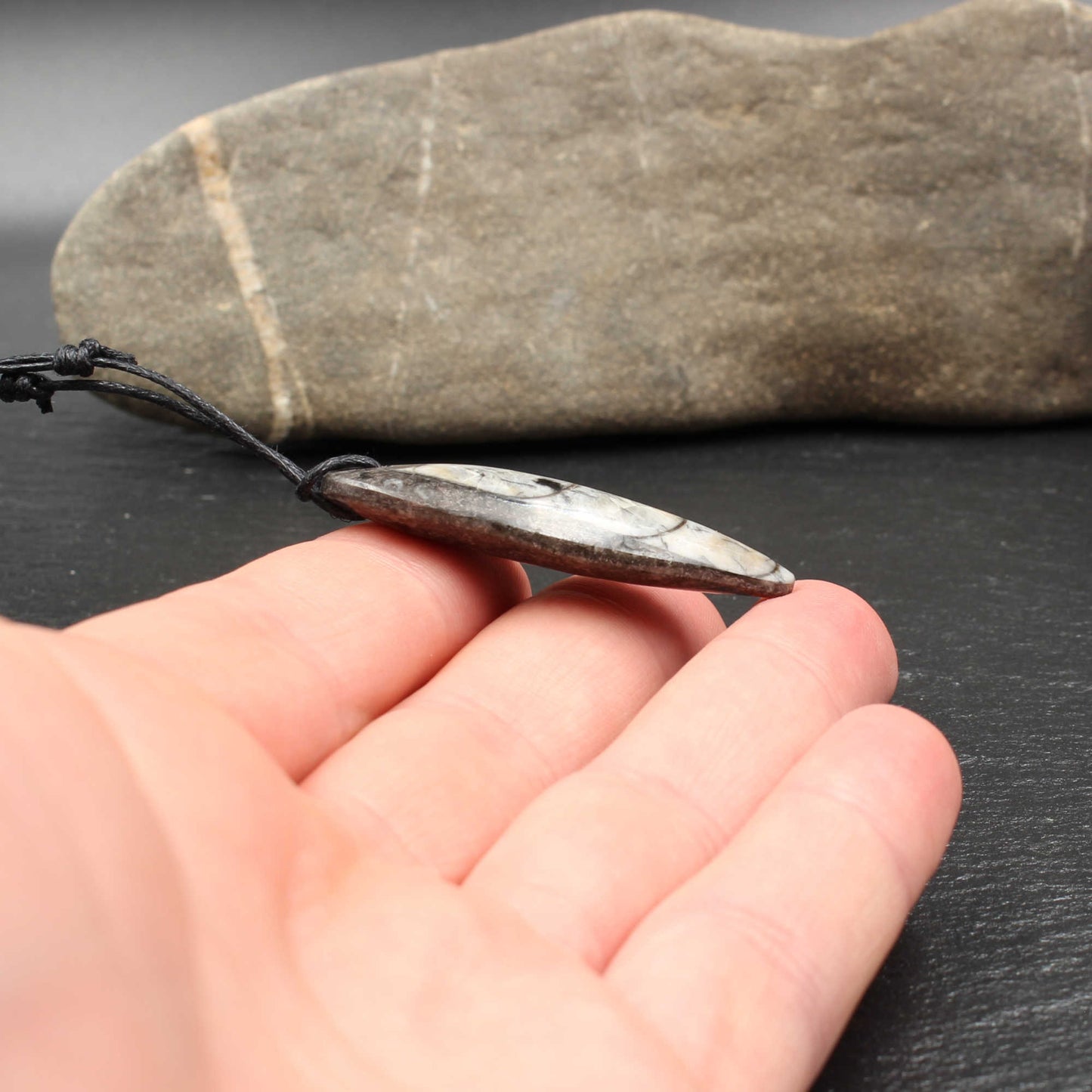 Orthoceras Fossil Anhänger - Handarbeit