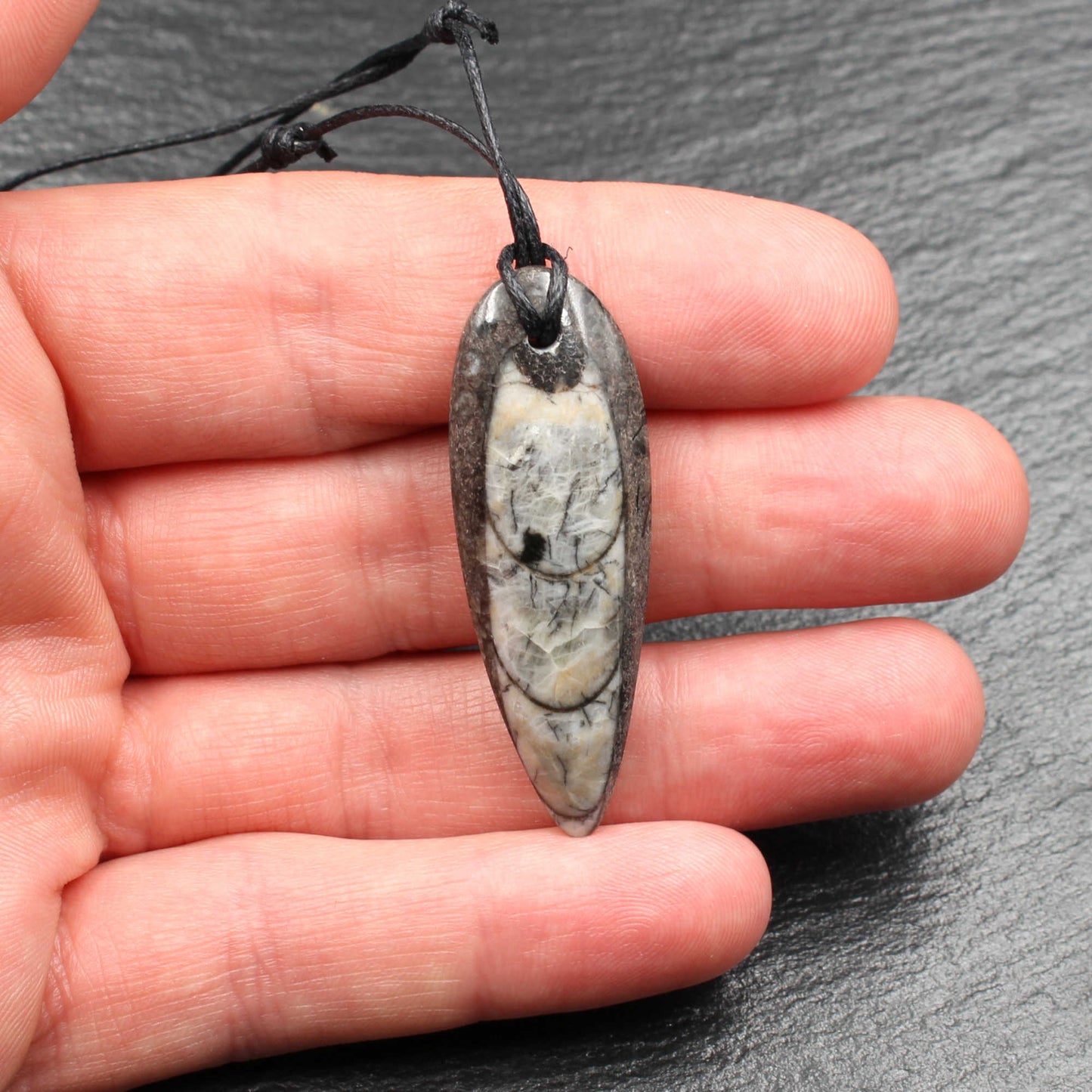 Orthoceras Fossil Anhänger - Handarbeit