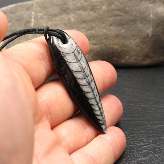 Orthoceras Fossil Anhänger - Handarbeit