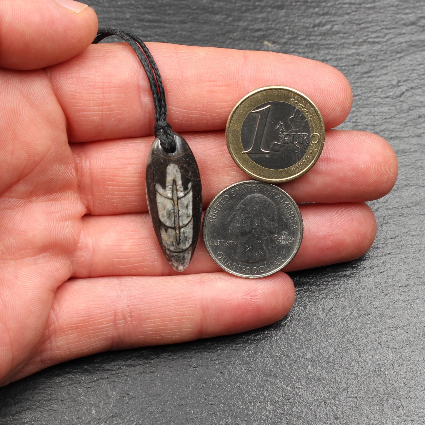 Orthoceras Fossil Anhänger - Handarbeit