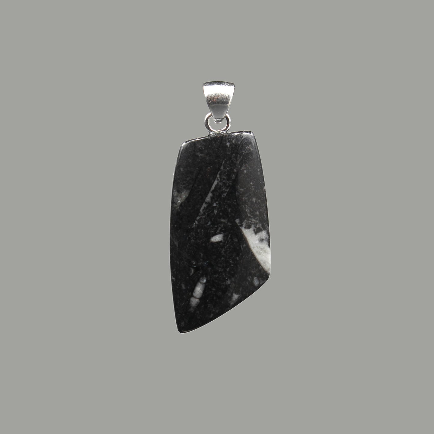 Orthoceras Fossilien in schwarzem Kalkstein Anhänger - Handarbeit