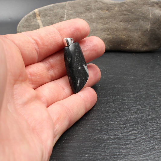 Orthoceras Fossilien in schwarzem Kalkstein Anhänger - Handarbeit