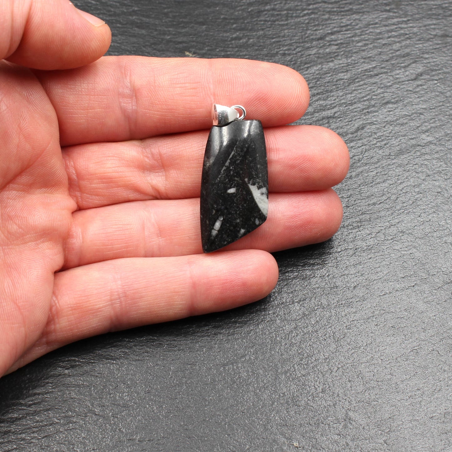 Orthoceras Fossilien in schwarzem Kalkstein Anhänger - Handarbeit