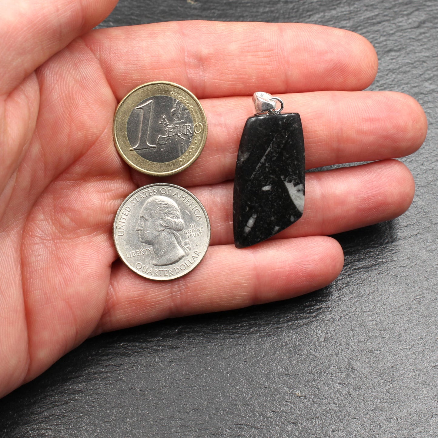 Orthoceras Fossilien in schwarzem Kalkstein Anhänger - Handarbeit