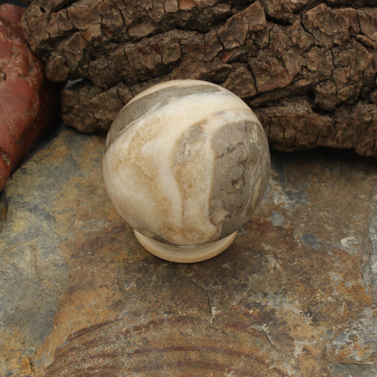 Fossile Gosau Schnecke - Kugel - Bild