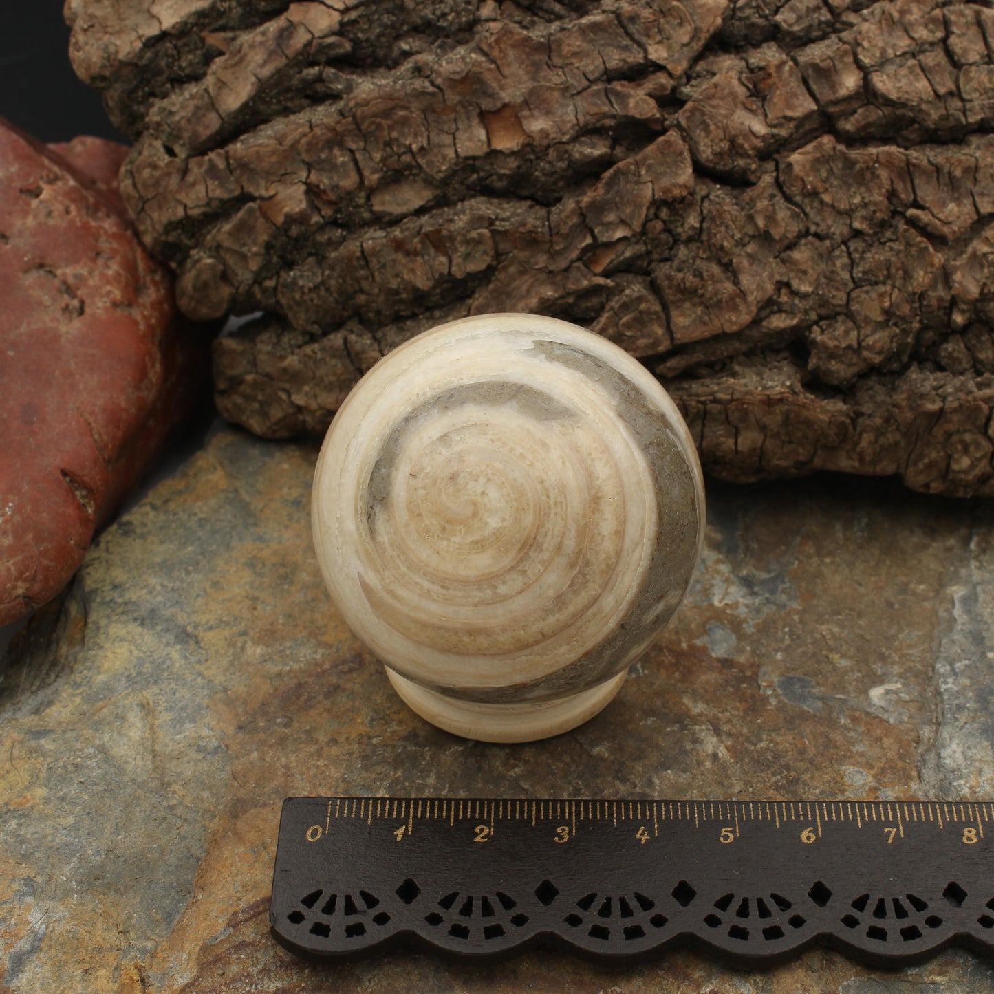 Fossile Gosau Schnecke - Kugel - Größe