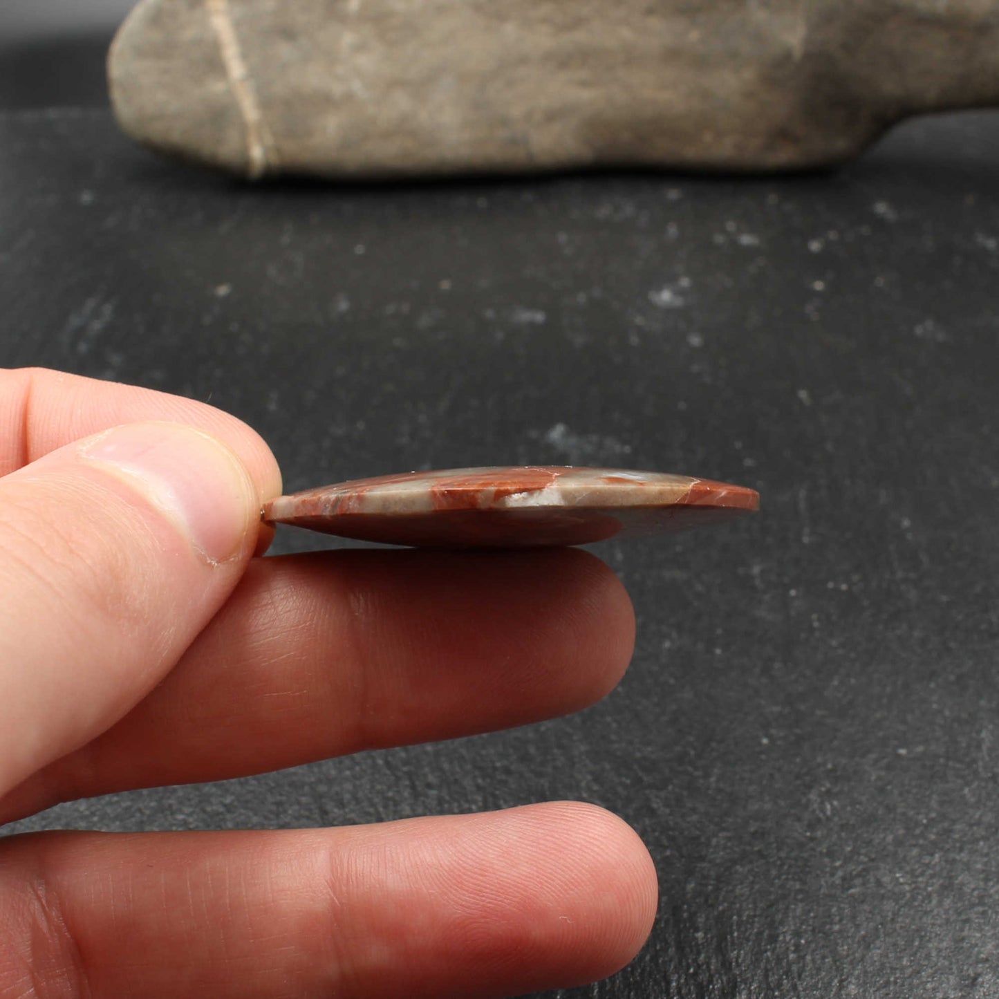 Fossile Koralle in Kalkstein Anhänger - Handarbeit