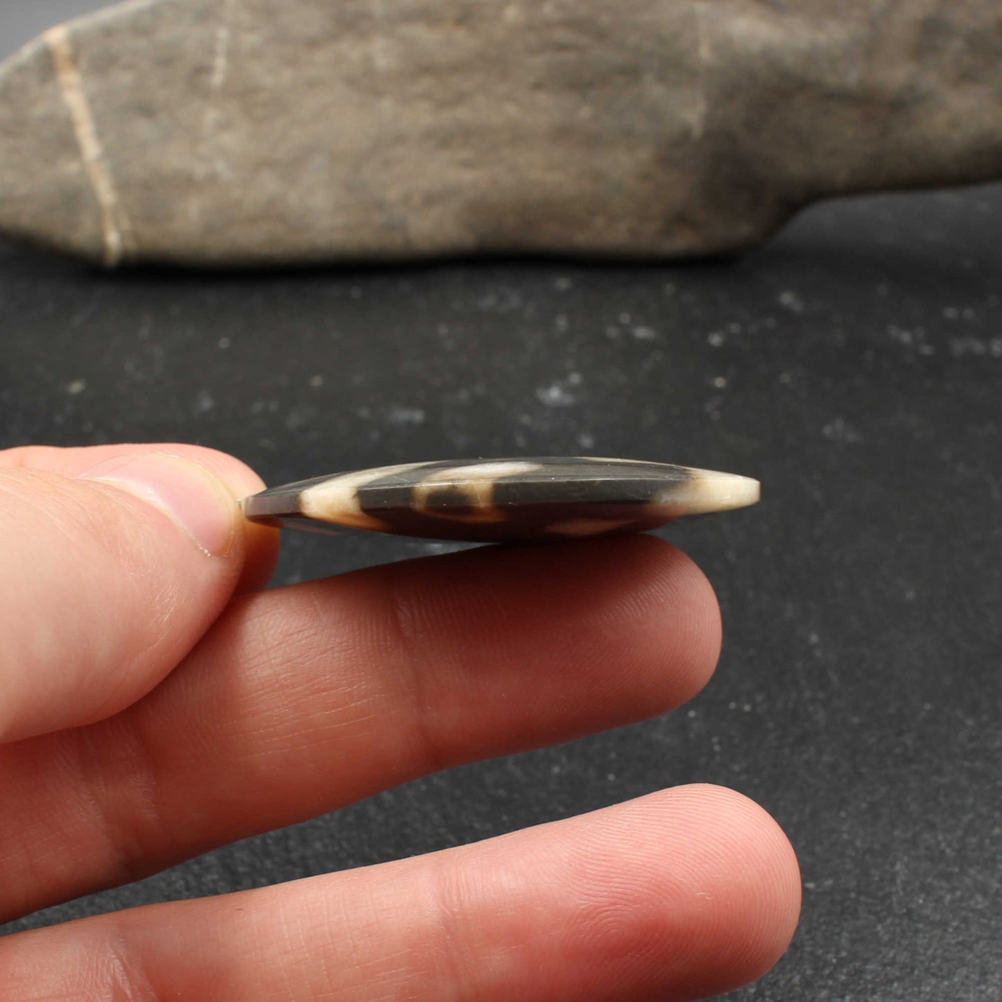 Fossile Koralle in Kalkstein Anhänger - Handarbeit