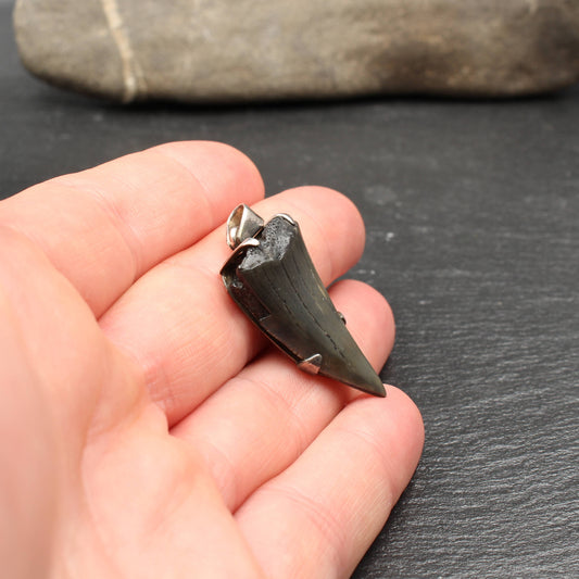 Fossiler Haifischzahn Silber Anhänger