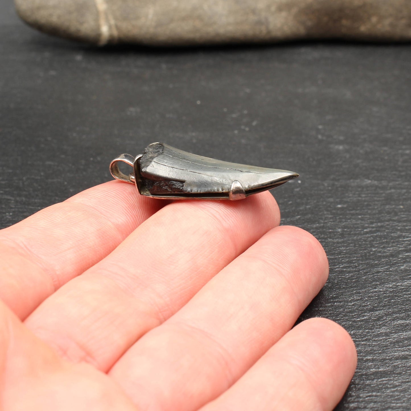 Fossiler Haifischzahn Silber Anhänger