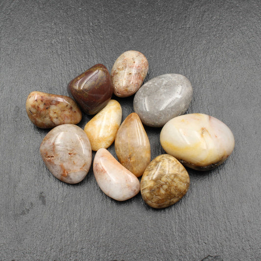 Polierte Rhein Kieselsteine - Handschmeichler