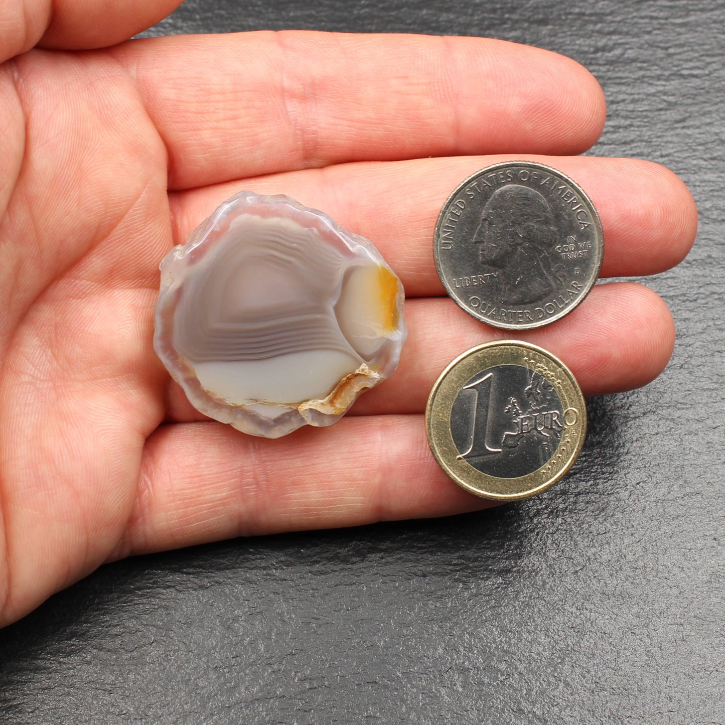 Schottische Achat Scheibe - Poliert