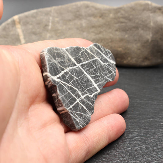 Schottischer Highland Kalkstein - Polierte Scheibe