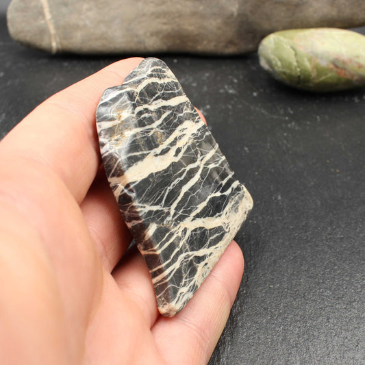 Schottischer Highland Kalkstein - Polierte Scheibe