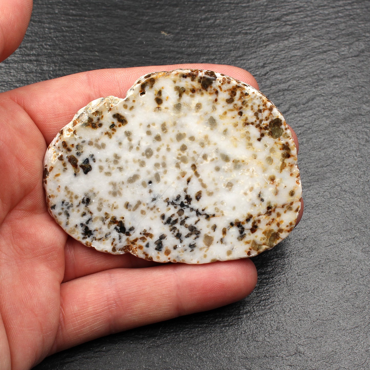 Scottish Iona Marble - Polished Slab