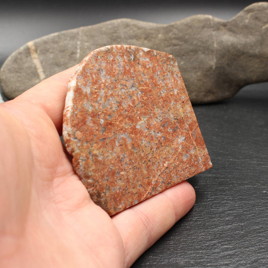 Scottish Lewisian - Polished Disc