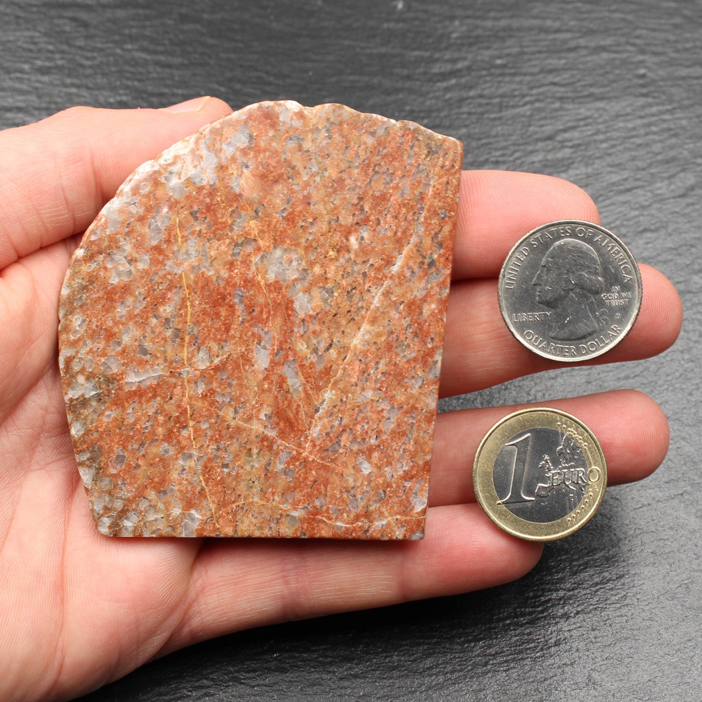Scottish Lewisian - Polished Disc