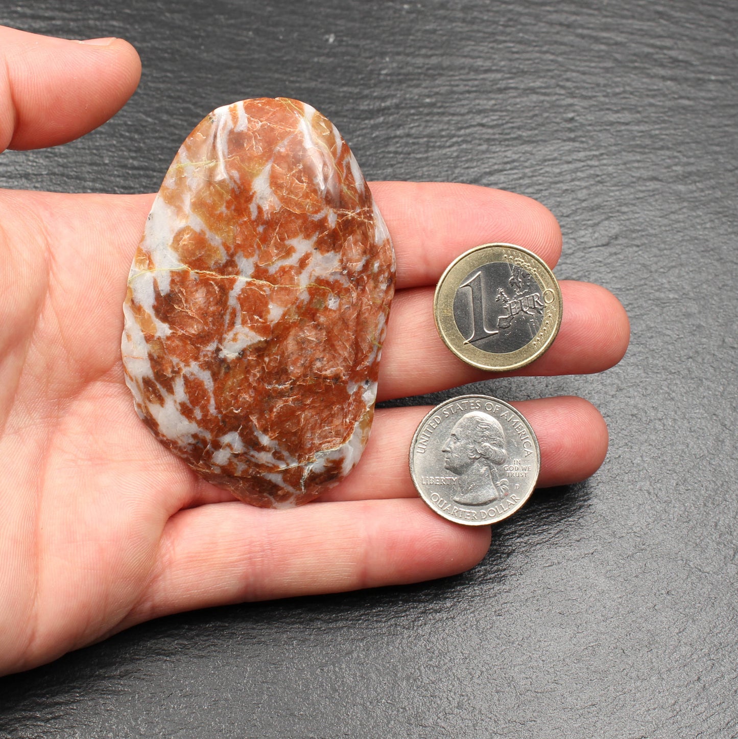 Scottish Lewisian Gneiss - Polished Slice