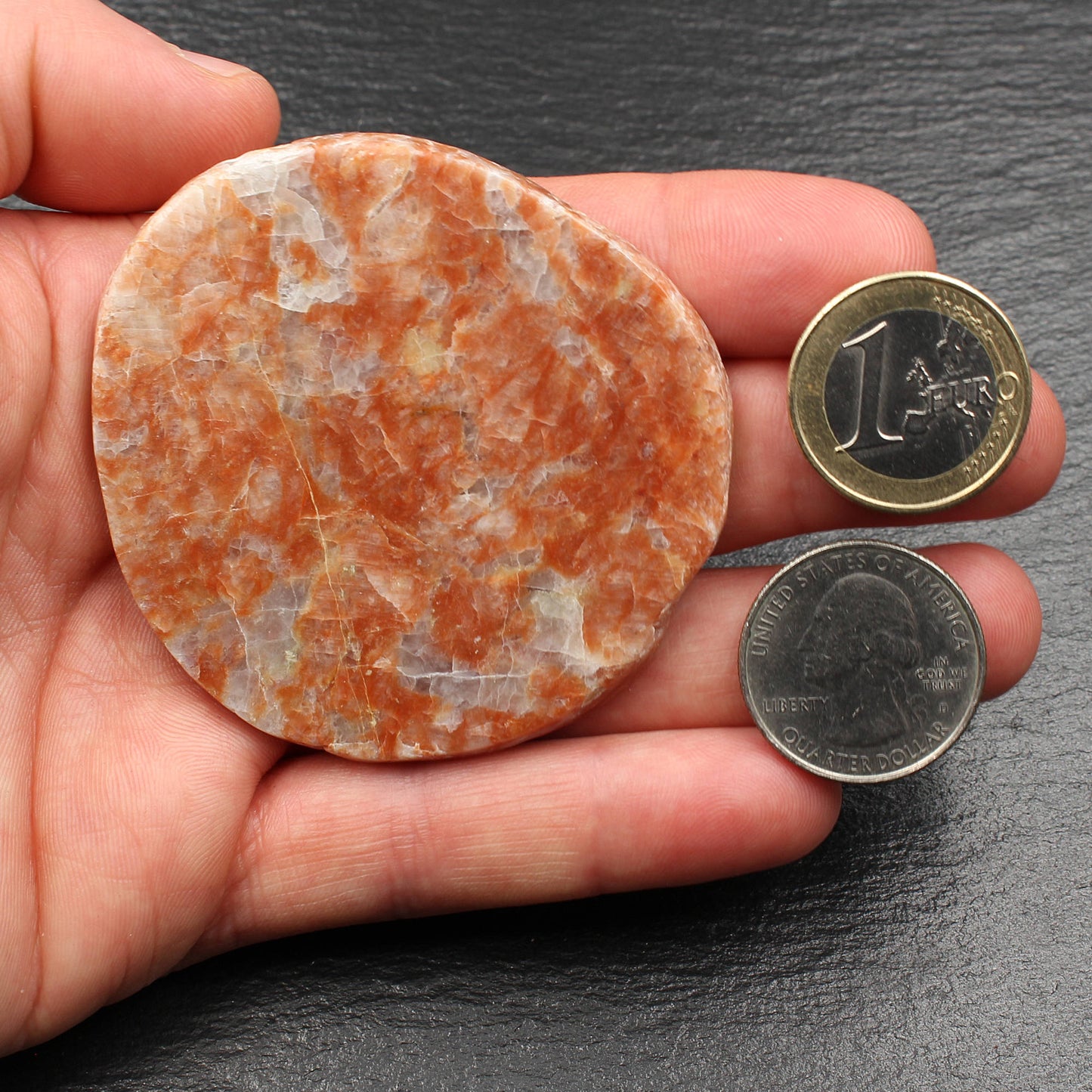 Scottish Lewisian Gneiss - Polished Slice