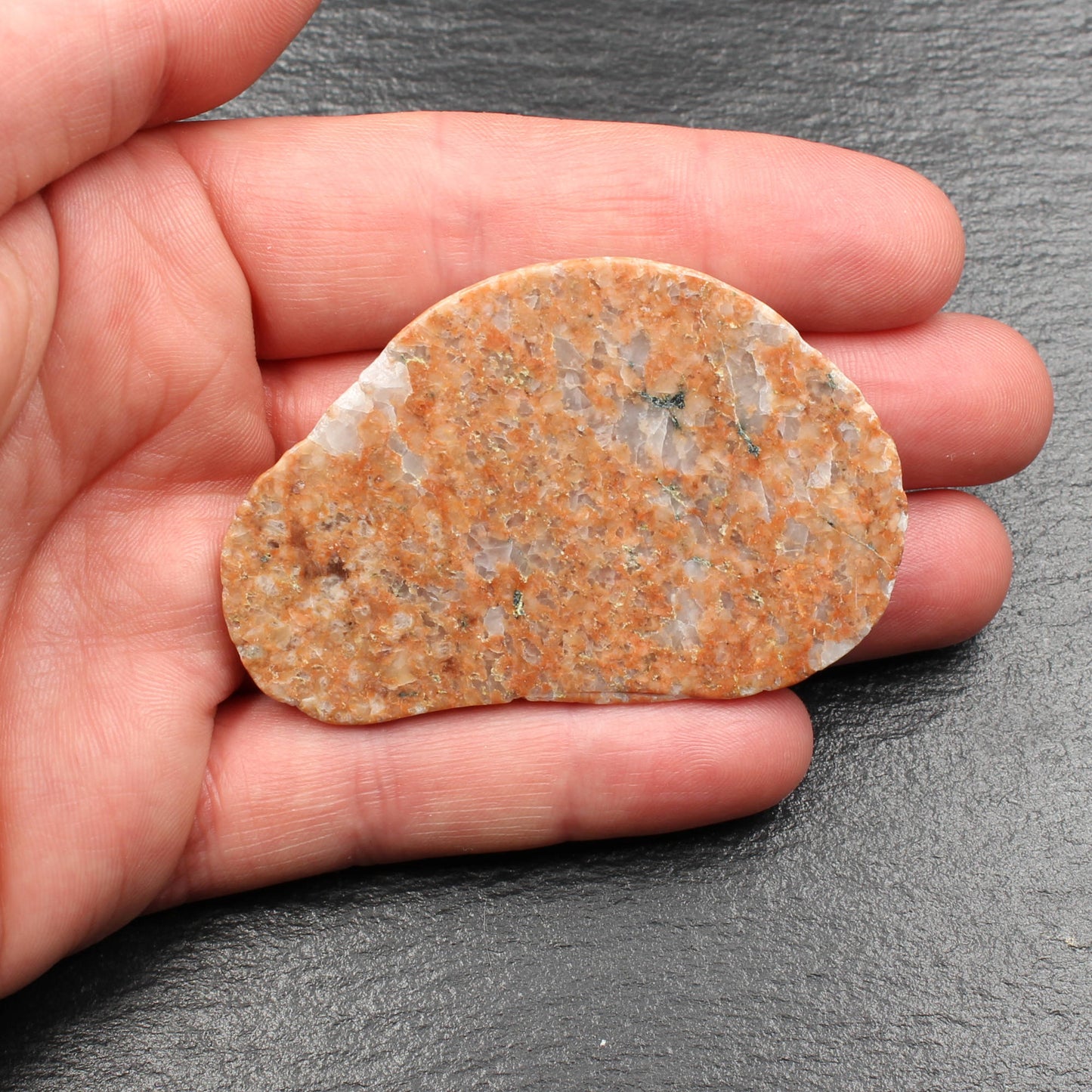 Scottish Lewisian Gneiss - Polished Slice