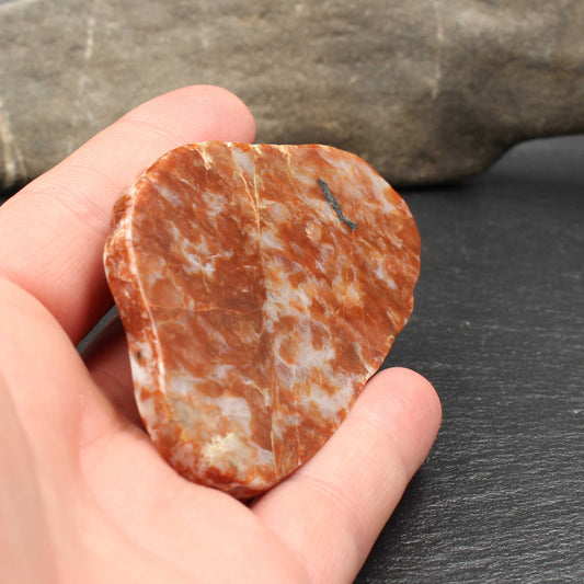 Schottischer Lewisian - Polierte Scheibe