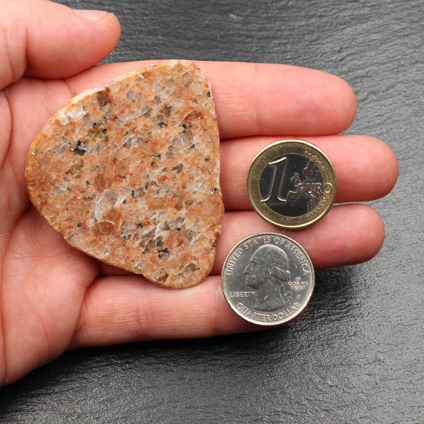 Scottish Lewisian - Polished Disc