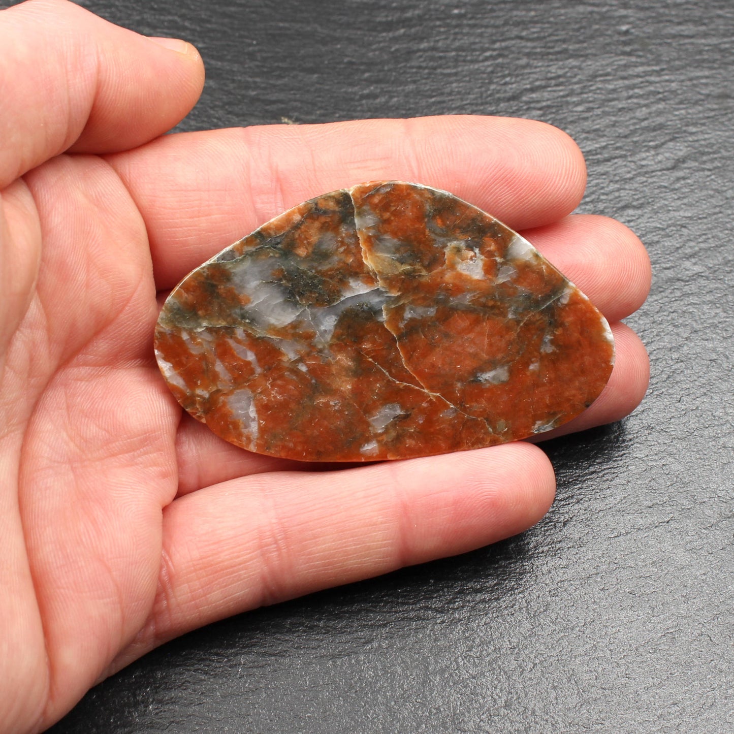 Schottischer Lewisian Gneiss - Polierte Scheibe
