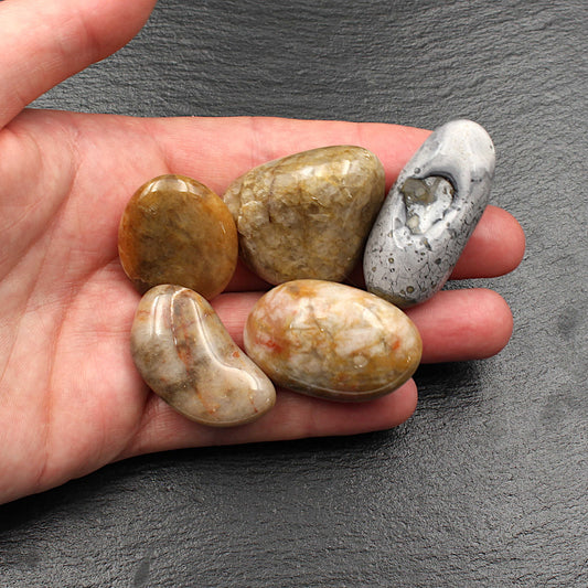 5x Große Rhein Quarz Trommelsteine - Polierte Rheinkiesel