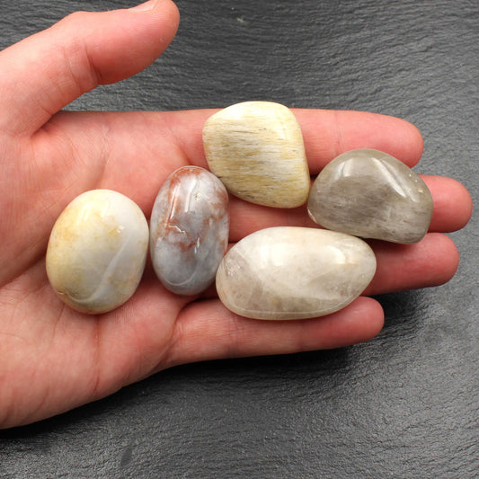 5x Große Rhein Quarz Trommelsteine - Polierte Rheinkiesel