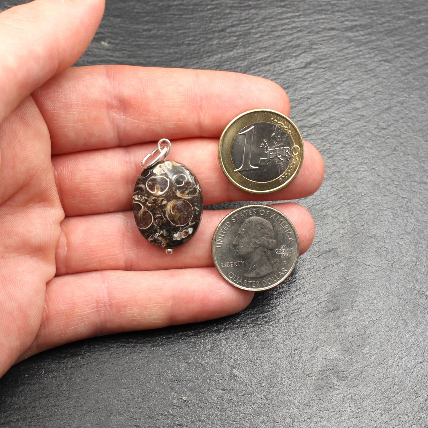 Turritella Achat Anhänger - Fossilien Anhänger