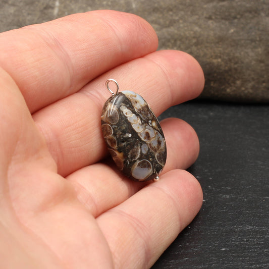 Turritella Achat Anhänger - Fossilien Anhänger