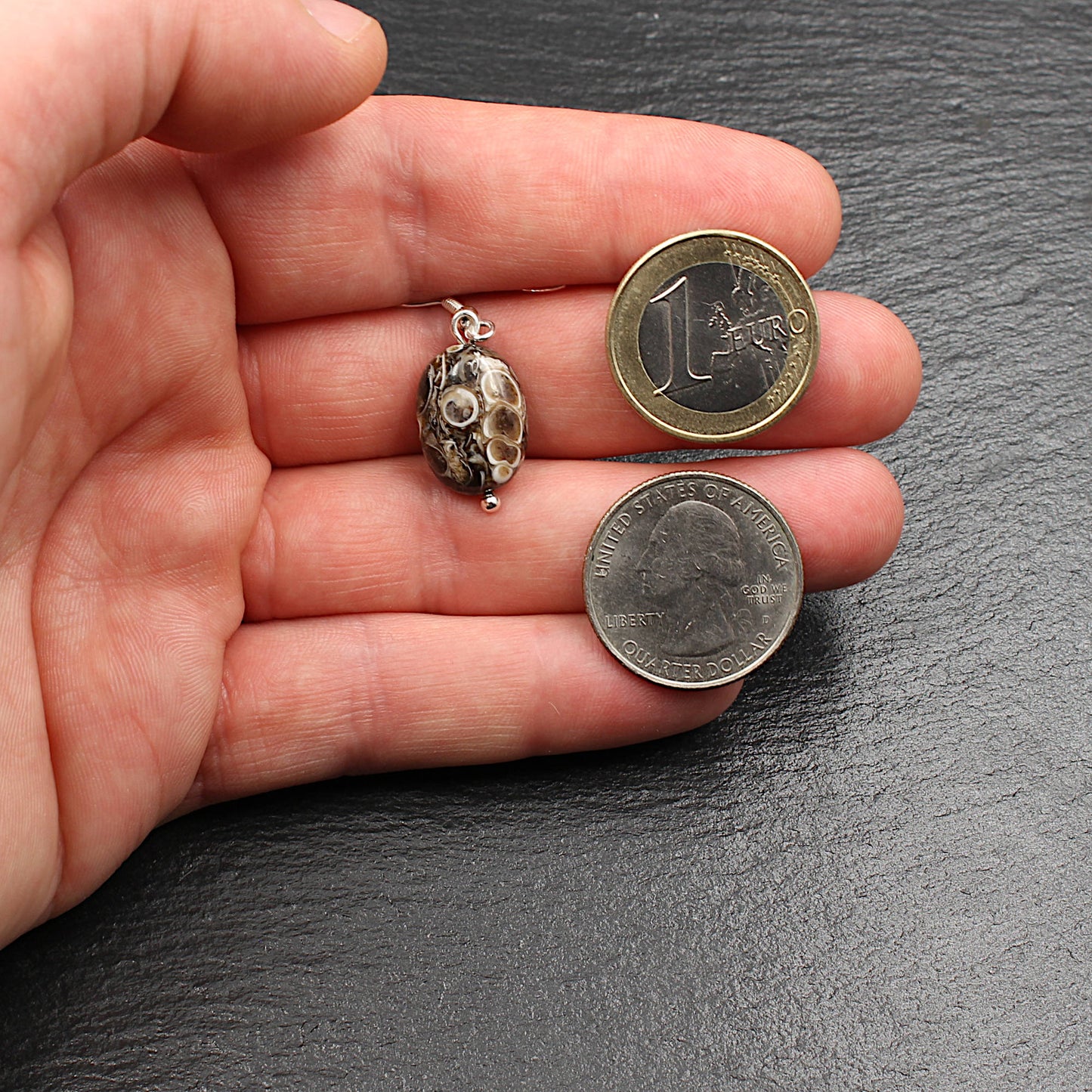 Turritella Achat Ohrringe - Fossilien Ohrringe