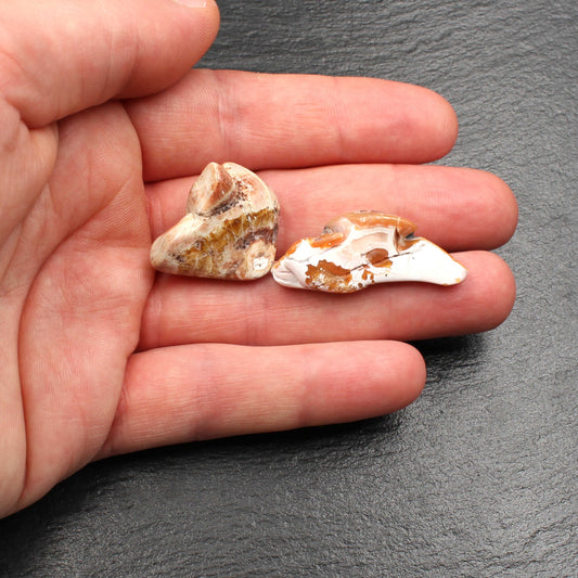 6x Polierte Achate aus Sachsen | Trommelsteine