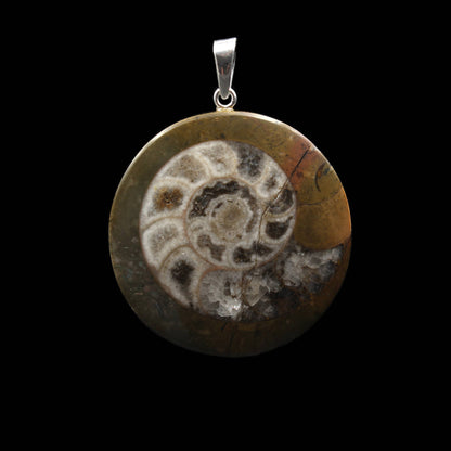 Ammonit Fossil Anhänger - Handarbeit