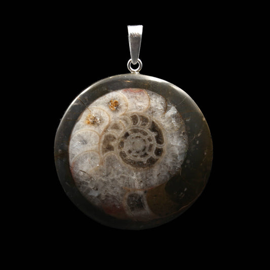Ammonite Fossil Pendant - Handmade