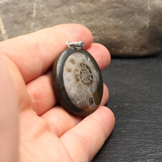Ammonite Fossil Pendant - Handmade