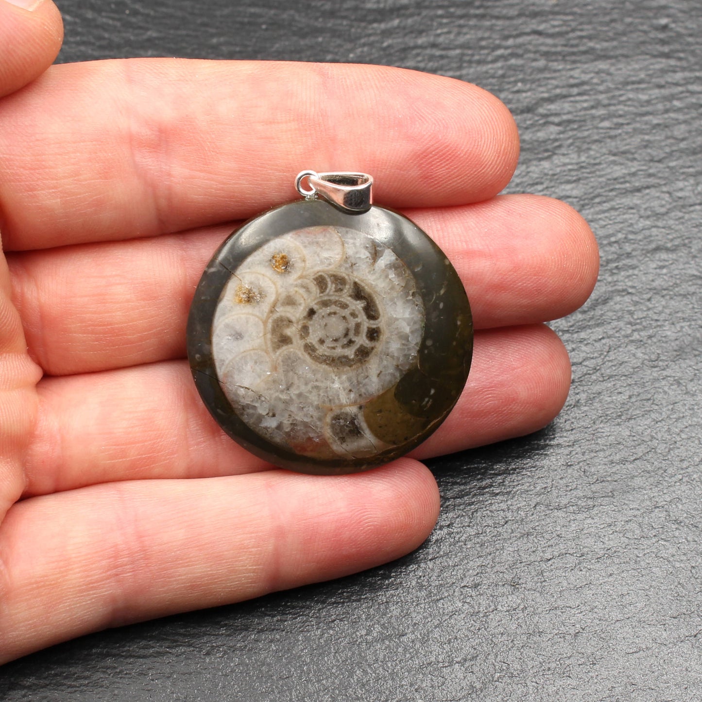 Ammonite Fossil Pendant - Handmade