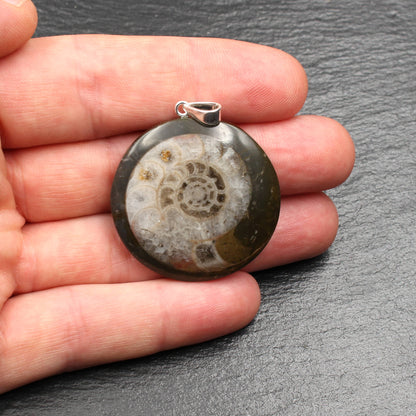 Ammonite Fossil Pendant - Handmade