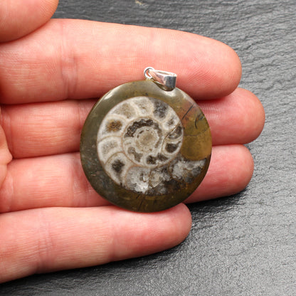 Ammonit Fossil Anhänger - Handarbeit
