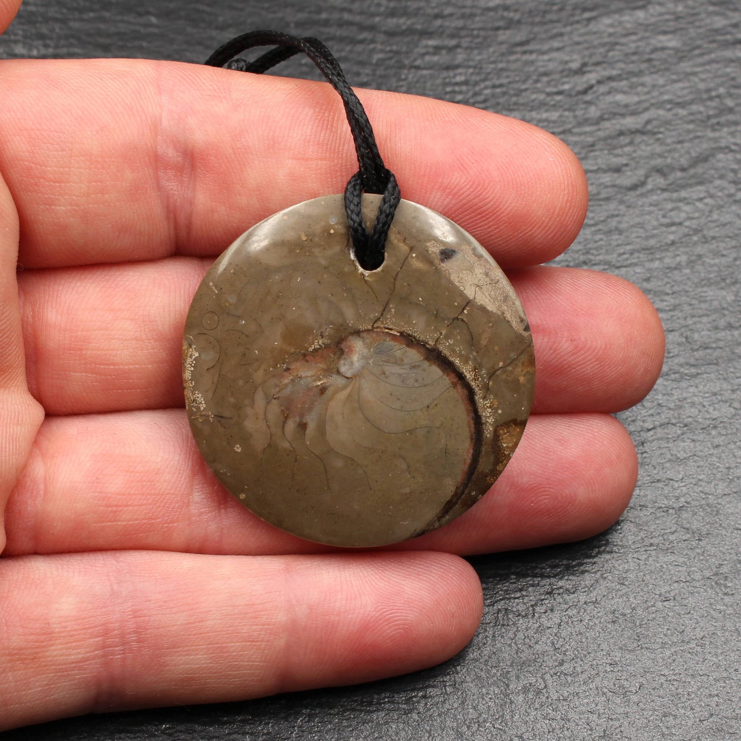 Ammonit Fossil Anhänger - Handarbeit