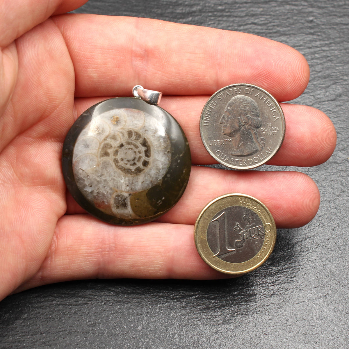 Ammonite Fossil Pendant - Handmade