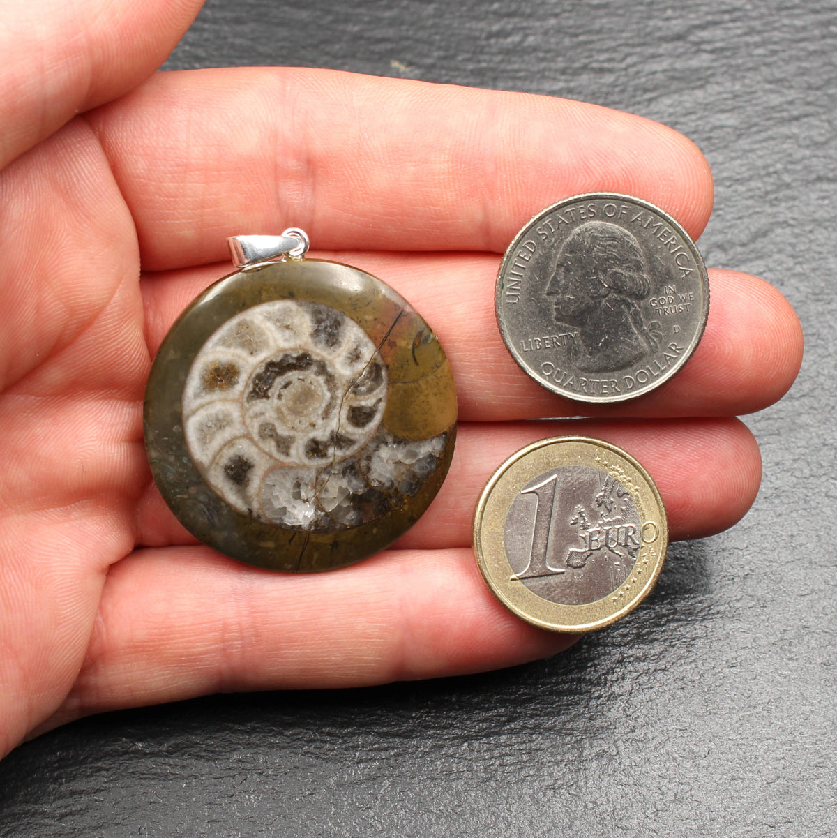 Ammonit Fossil Anhänger - Handarbeit