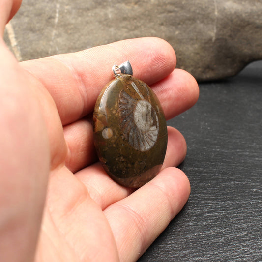 Ammonit Fossil Anhänger - Handarbeit