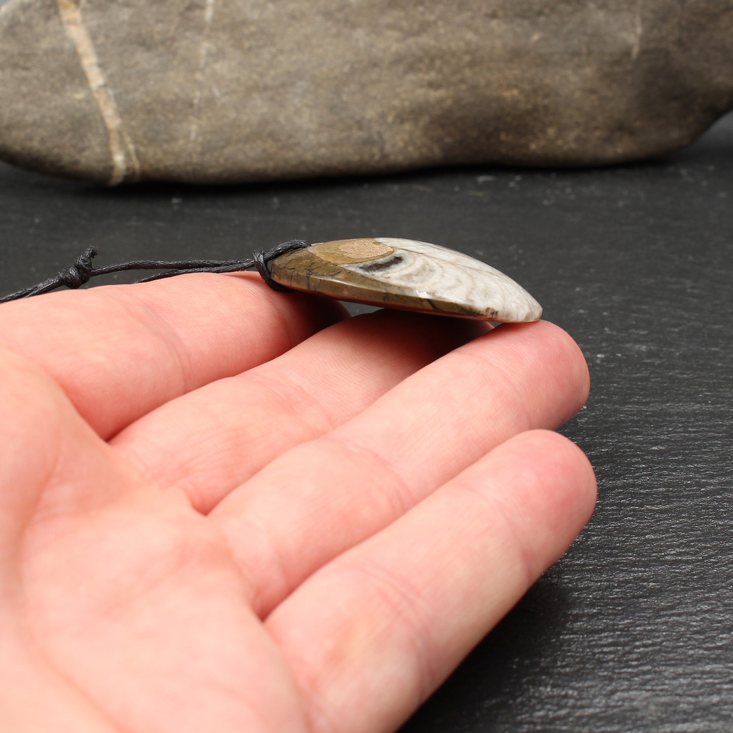 Ammonite Fossil Pendant - Handmade