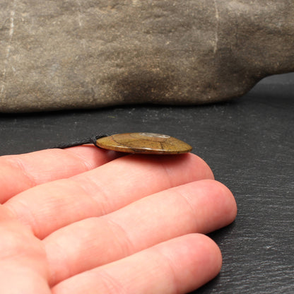 Ammonite Fossil Pendant - Handmade